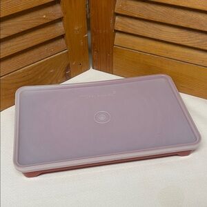 Vintage Tupperware Meat Storage Container